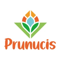 Prunucis
